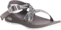Chaco Women's Z/Cloud X -Footwear Store chaco womens z cloud x echo paloma j106608 54061.1647288280