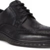 ECCO Men's ST.1 Hybrid Lite Wingtip Brogue 1 ECCO Men's ST.1 Hybrid Lite Wingtip Brogue -Footwear Store ecco mens st 1 hybrid lite wingtip brogue black 83720411001 24715.1597881417