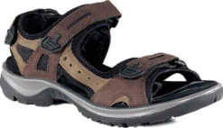 ECCO Women's Yucatan Sandal -Footwear Store ecco womens yucatan bison 06956352524 04739.1687214227