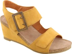 Taos High Society -Footwear Store taos womens high society wheat suede his 7220 whes 44262.1585098021