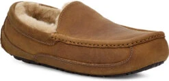 UGG Men's Ascot Leather -Footwear Store ugg mens ascot tan 1103889 tan 51299.1696284377